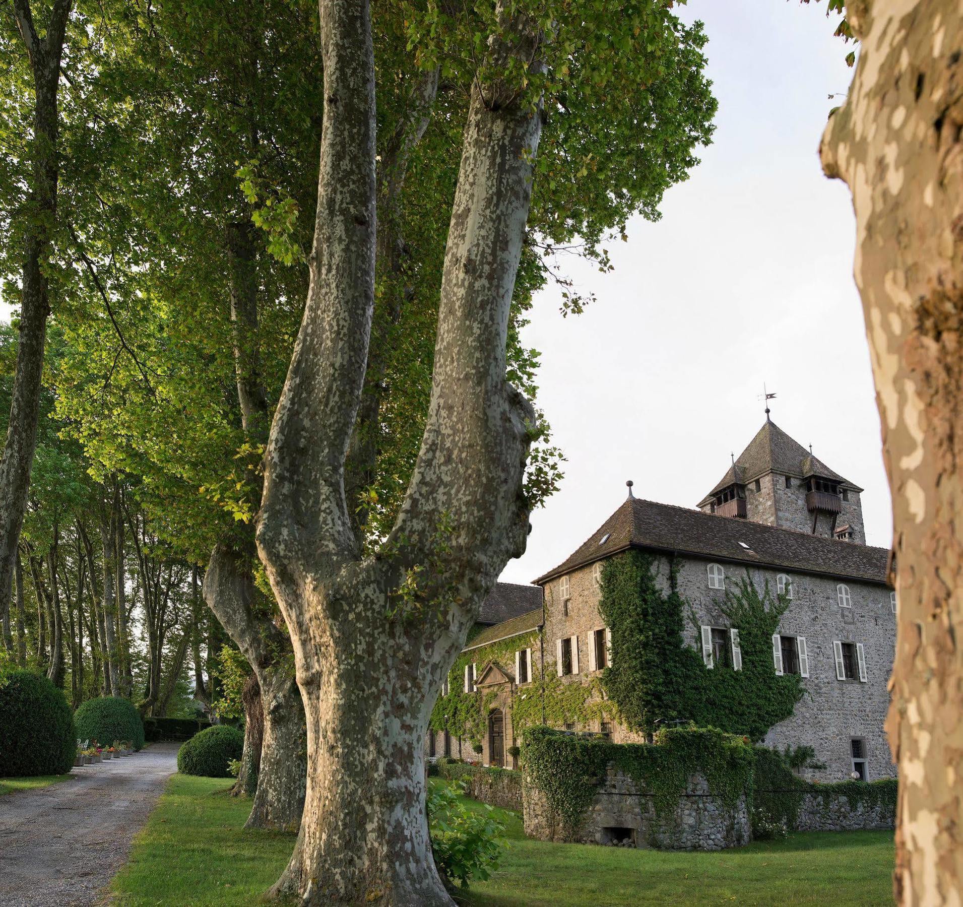 Chateau De Coudree - Les Collectionneurs Sciez Exteriér fotografie